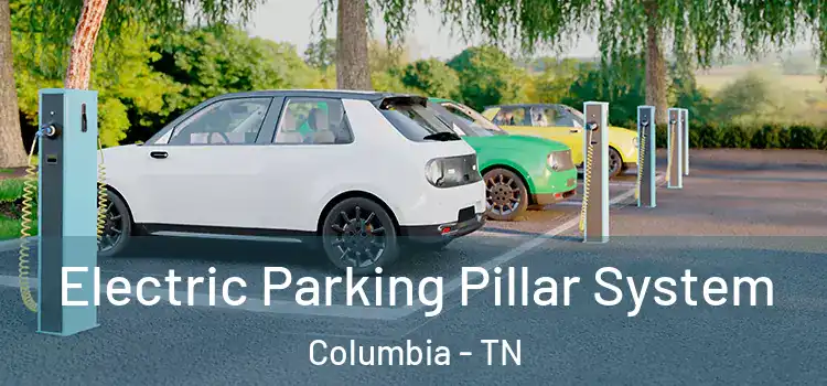  Electric Parking Pillar System Columbia - TN
