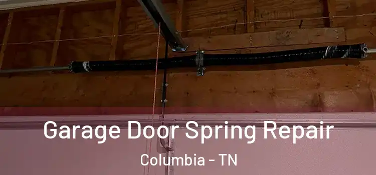 Garage Door Spring Repair Columbia - TN
